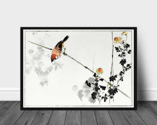 Japanese Swallow Bird, Watanabe Seitei - Plakat - Plakatbar.no
