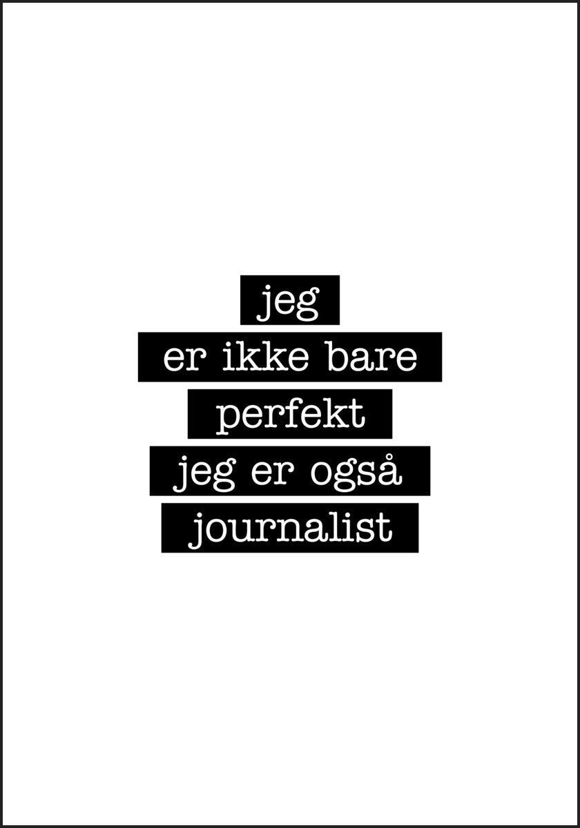 Journalist - I'm not just perfect Poster