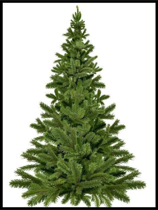 Juletre - Juleplakat - Plakatbar.no