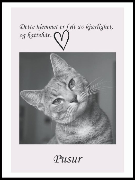 Katteplakat - med eget bilde og navn - Plakatbar.no