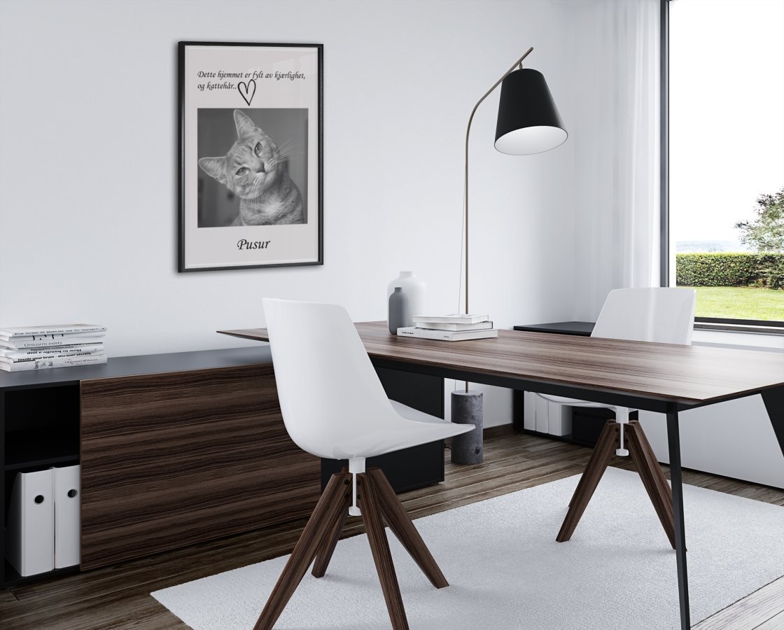 Katteplakat - med eget bilde og navn - Plakatbar.no