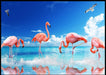 Kopi av Mange Flamingoer i sjøen - Poster - Plakatbar.no