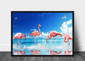 Kopi av Mange Flamingoer i sjøen - Poster - Plakatbar.no