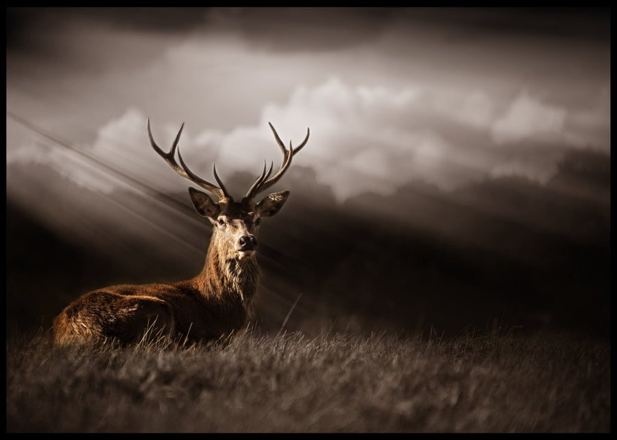 Red deer records