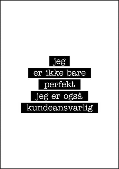 Kundeansvarlig - Jeg er ikke bare perfekt Plakat - Plakatbar.no