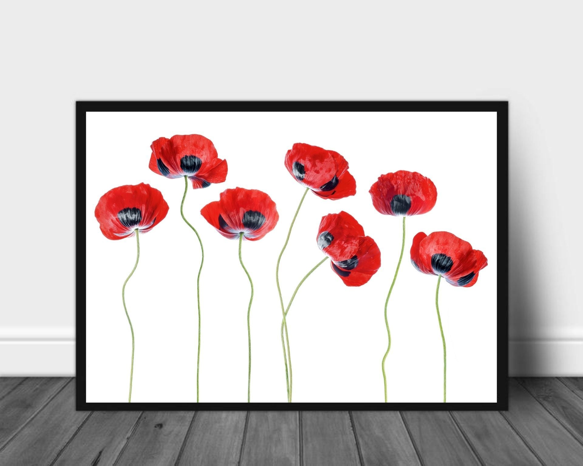 Ladybird poppies- poster - Plakatbar.no