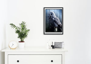 Lappugle poster - Plakatbar.no