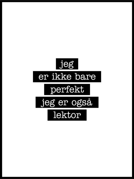 Foredragsholder - Jeg er ikke bare perfekt Plakat