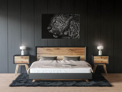 Leopard i natten - Plakatbar.no