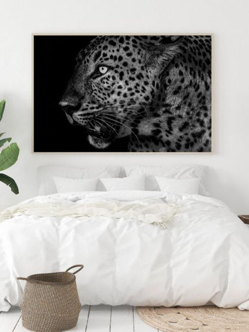 Leopard i natten - Plakat eller lerret - Plakatbar.no