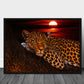 Leopard i solnedgang poster - Plakatbar.no