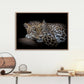 Leopard resting poster - Plakatbar.no