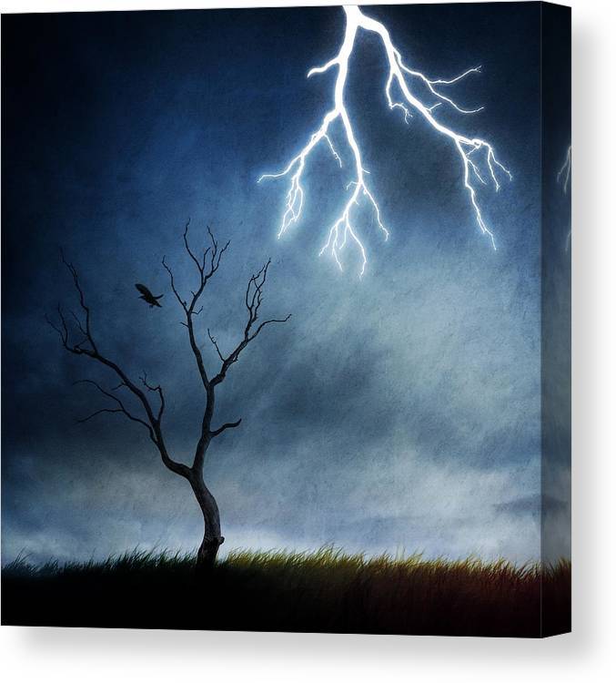 Lightning tree