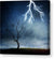 Lightning tree - Plakatbar.no