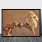 Little owl poster - Plakatbar.no