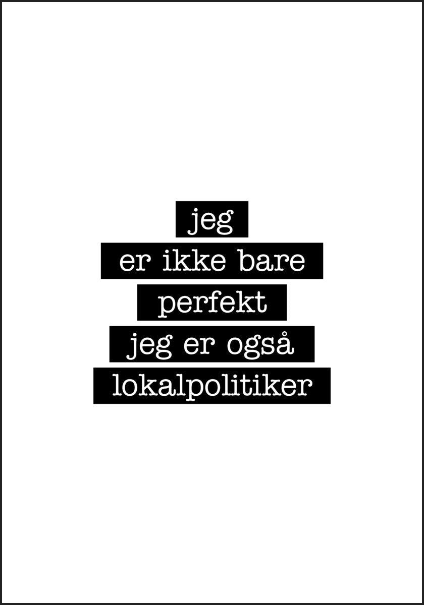 Lokalpolitiker - jeg er ikke bare perfekt Plakat