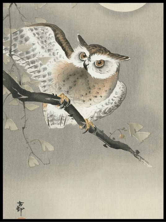 Long eared owl in Gingko, Ohara Koson- Plakat