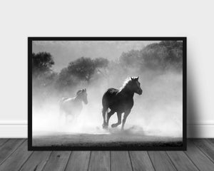 Løpende hester poster - Plakatbar.no