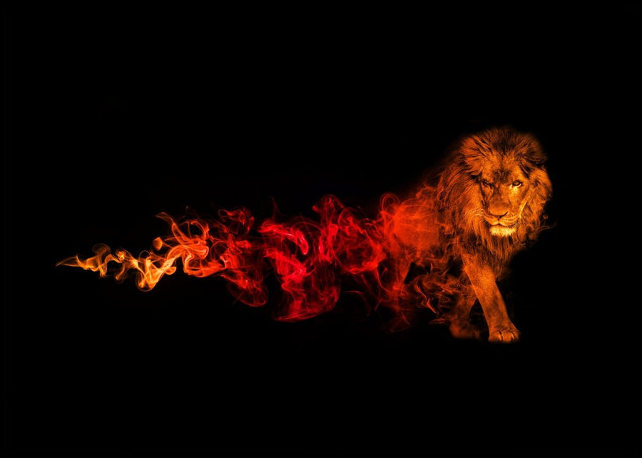 Lion in the Night - posters