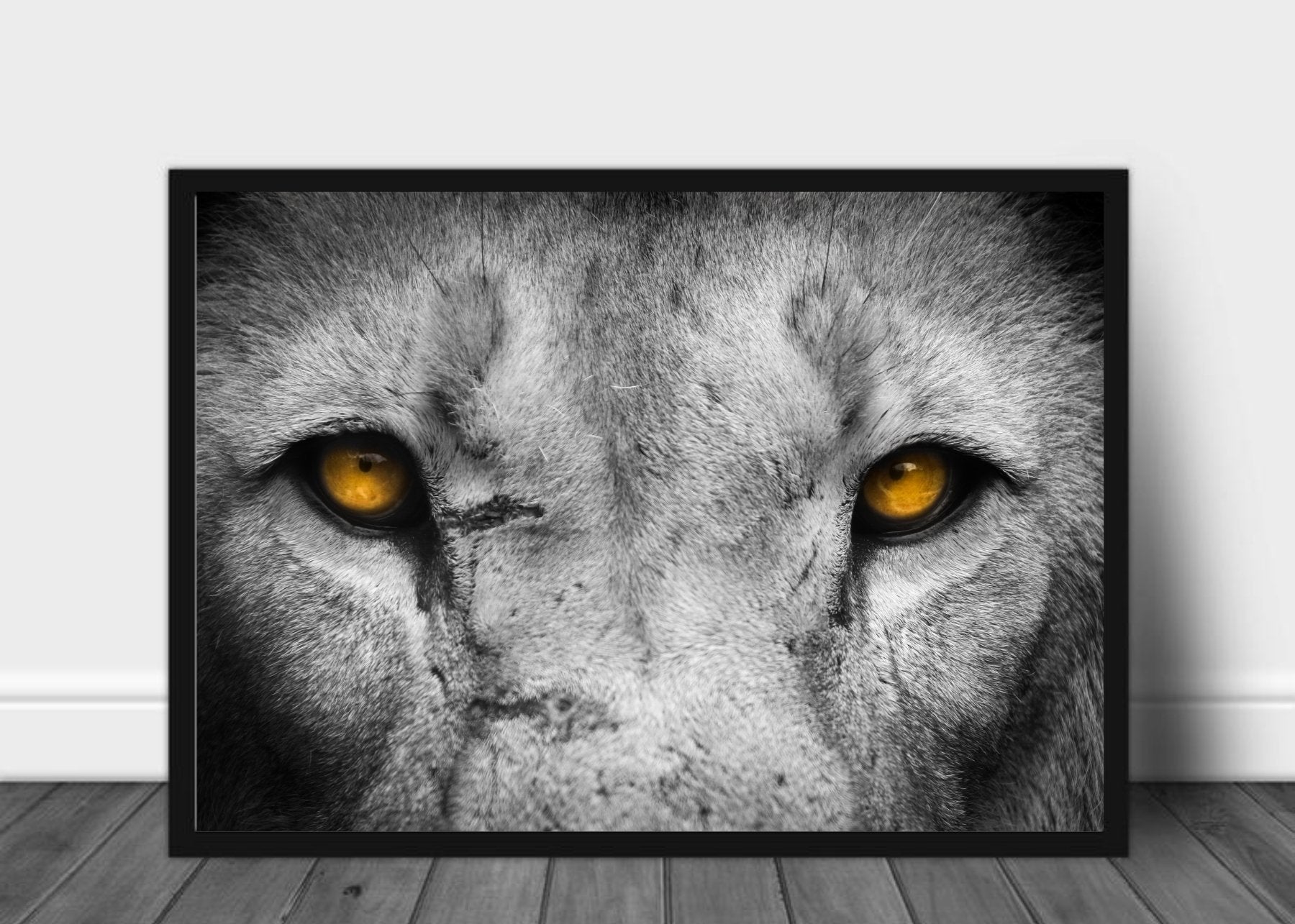 Løve øyne - poster - Plakatbar.no