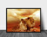 Løvepar i solnedgang poster - Plakatbar.no