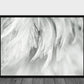 Luxury Bird Feathers Black and White Poster - Plakatbar.no