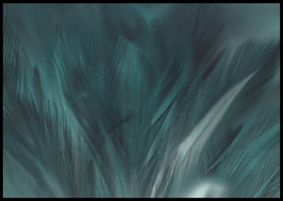 Luxury Bird Feathers Black color Poster - Plakatbar.no