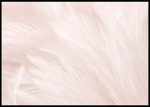 Luxury Bird Feathers Pink Poster - Plakatbar.no