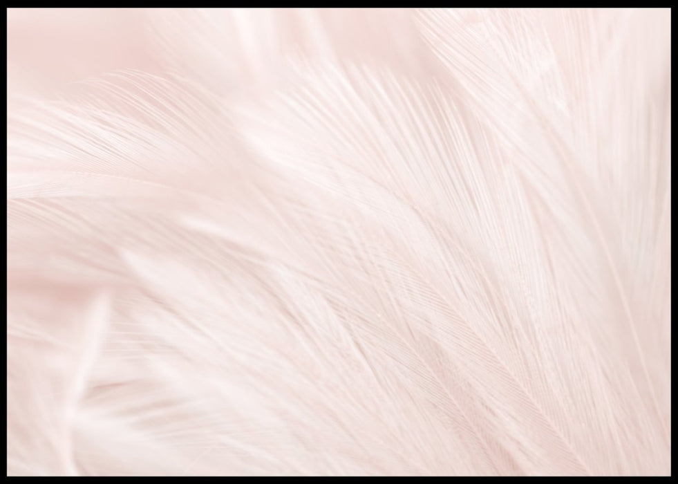 Luxury Bird Feathers Pink Poster - Plakatbar.no