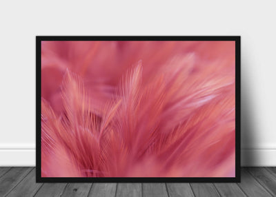 Luxury Bird Feathers Soft colors Poster - Plakatbar.no