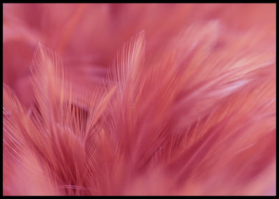Luxury Bird Feathers Soft colors Poster - Plakatbar.no