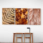 Lyse blader - Botanisk Plakat - Plakatbar.no