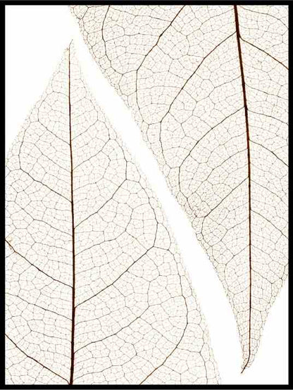 Lyse blader - Botanisk Plakat - Plakatbar.no