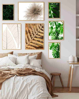 Lyse blader - Botanisk Plakat - Plakatbar.no