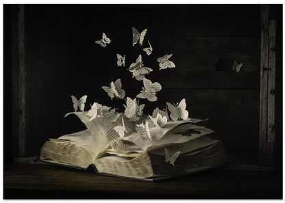 Lepidopterology