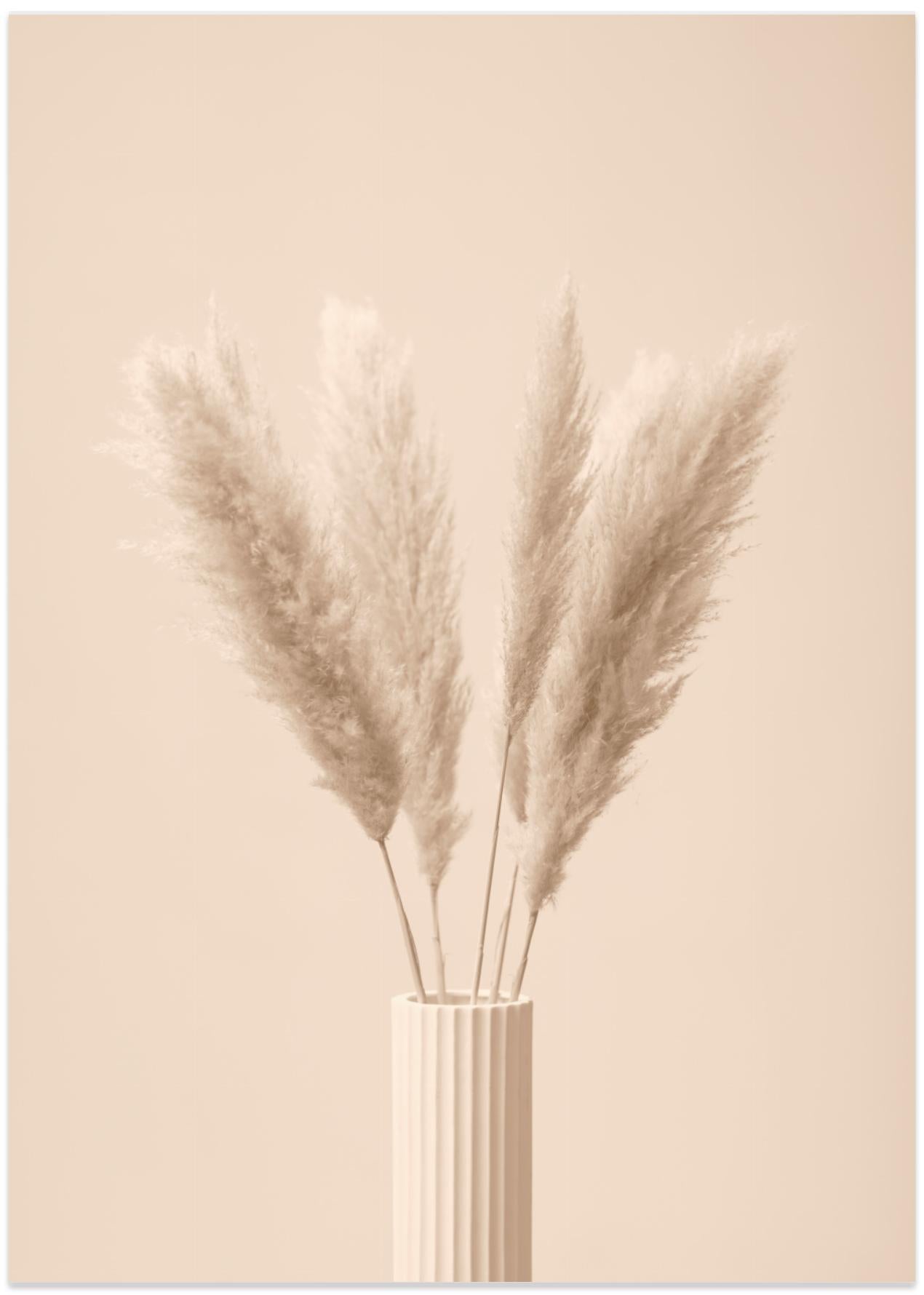 Pampas Grass Beige 11