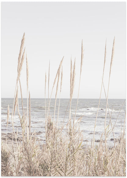 Beach_Water_001