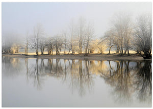 january morning