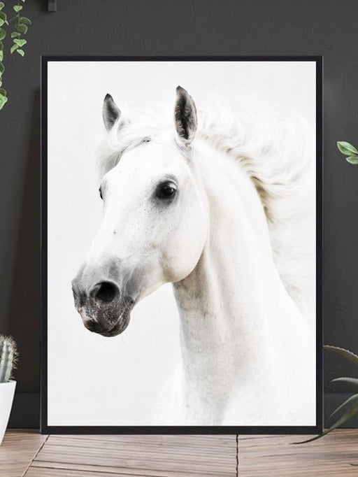 Majestetisk hvit hest - Plakat - Plakatbar.no