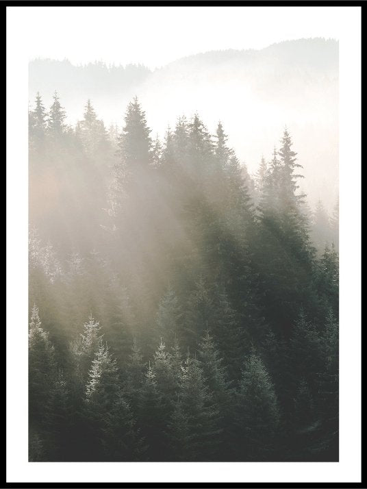 Majestic light - Poster - Plakatbar.no