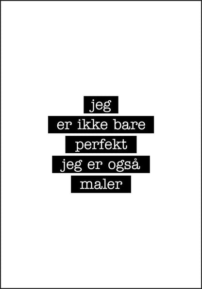 Maler - Jeg er ikke bare perfekt Plakat - Plakatbar.no