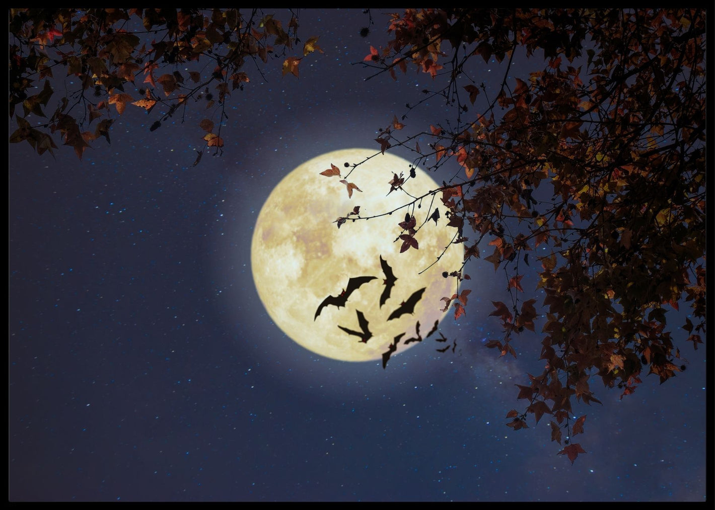 Månen og flaggermusene - Romplakat - Plakatbar.no