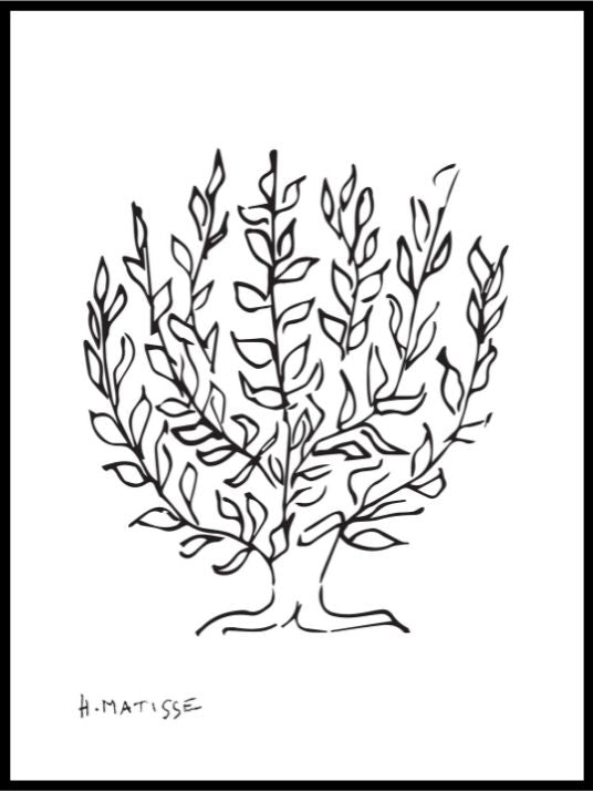 Matisse Tree - Black/White Poster