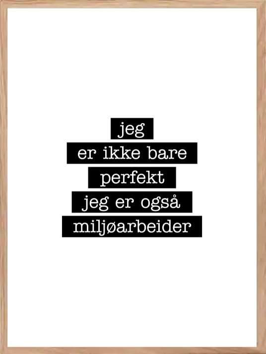 Miljøarbeider - Jeg er ikke bare perfekt Plakat - Plakatbar.no