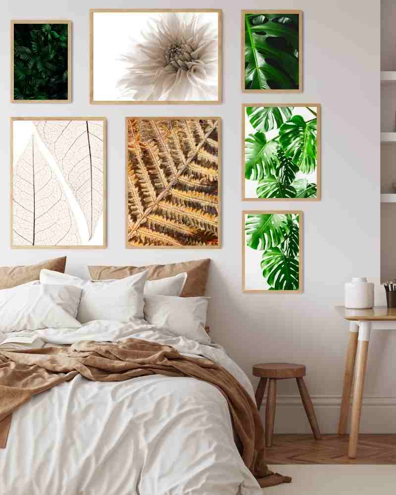 Monstera 07 - Botanisk Plakat - Plakatbar.no