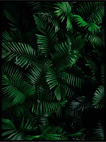 Mørke blader - Botanisk Plakat - Plakatbar.no