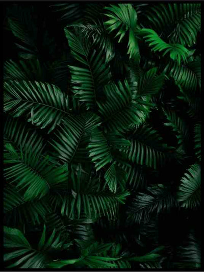 Mørke blader - Botanisk Plakat - Plakatbar.no