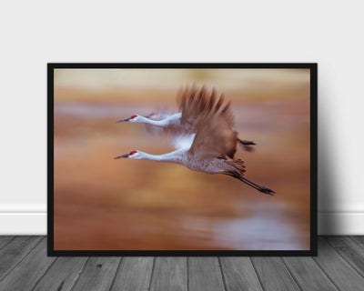 morning flying out poster - Plakatbar.no