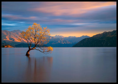 Morning glow poster - Plakatbar.no