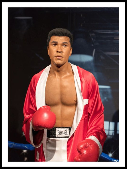 Muhammad Ali - Bokseplakat - Plakatbar.no